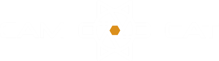 Camcat Dark Logo